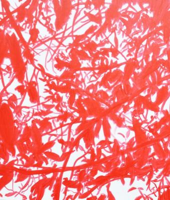 red-shadows