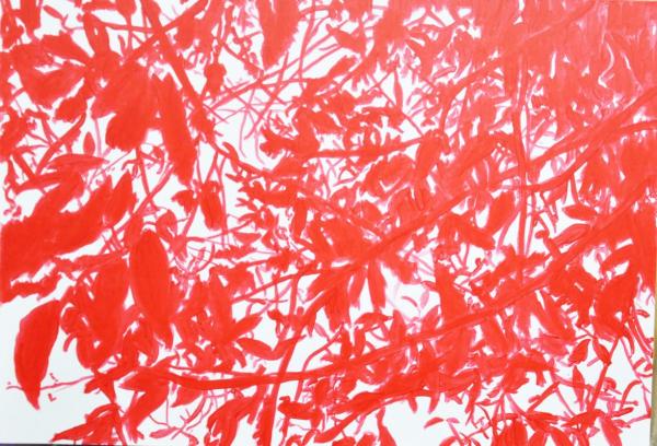 red-shadows