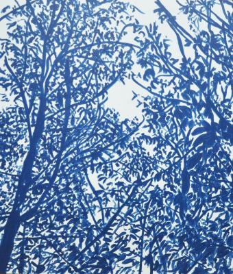 blue-shadows