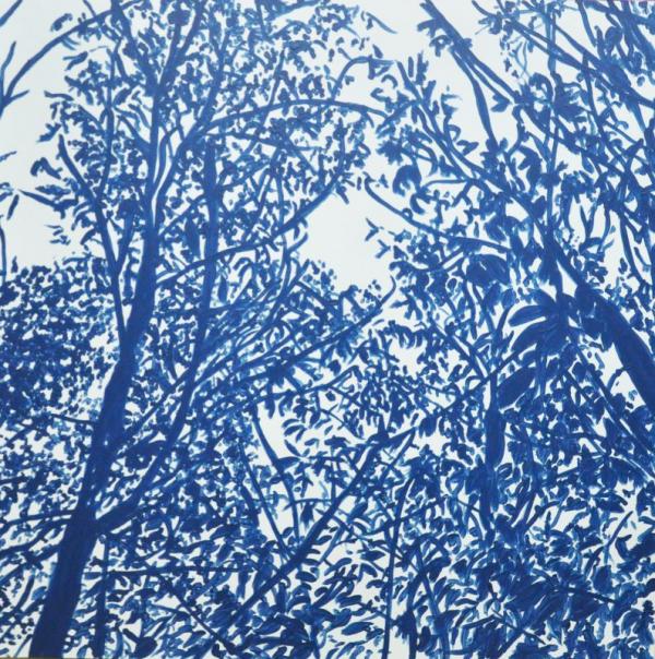 blue-shadows