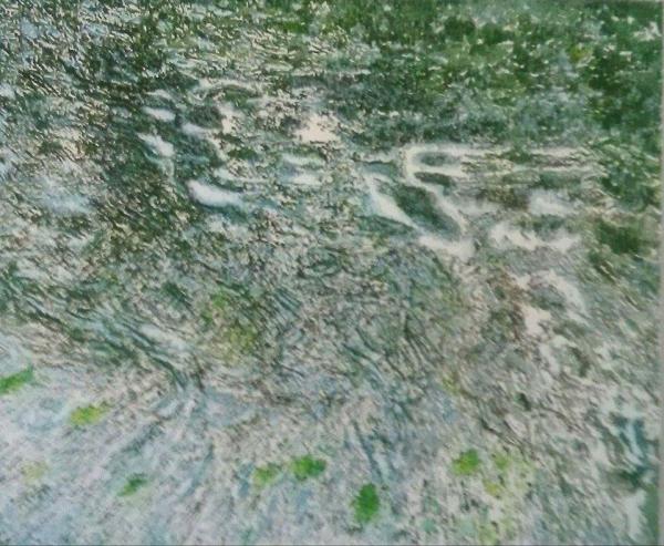 riflessi