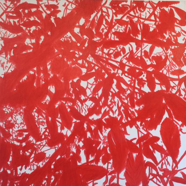 red-shadows