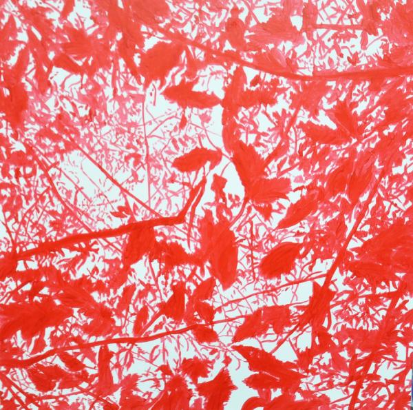red-shadows