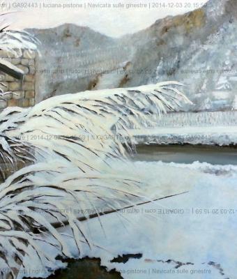 nevicata-sulle-ginestre