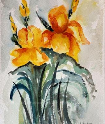 iris-dalla-mia-collezione-d
