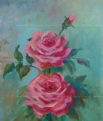 rose-rosa