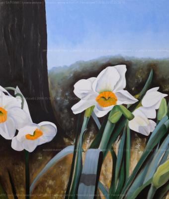 nessuno-pensa-ai-fiori