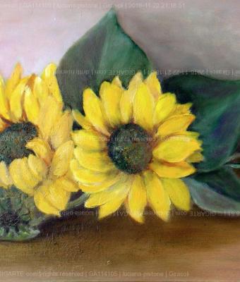 girasoli