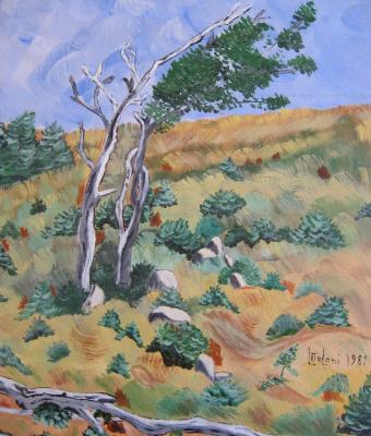 alberi-solitari