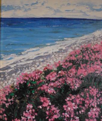 i-colori-della-calabria