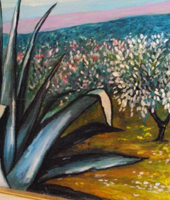 agave