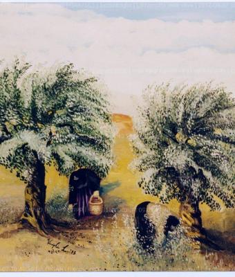 la-raccolta-delle-olive