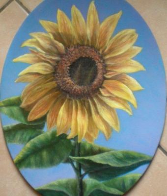 girasole