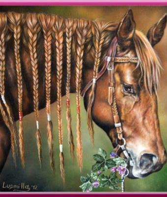 cavallo