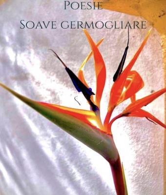 soave-germogliare