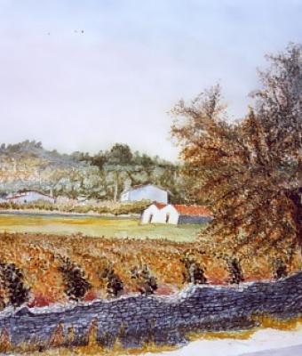 campagna-pugliese
