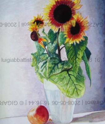 girasoli