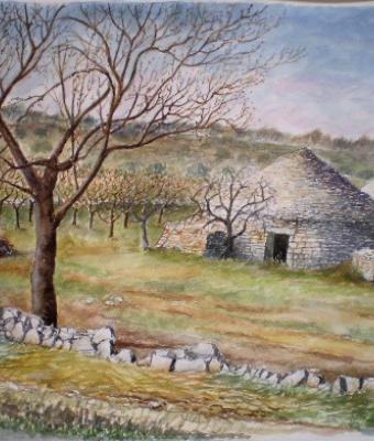 murgia-inverno