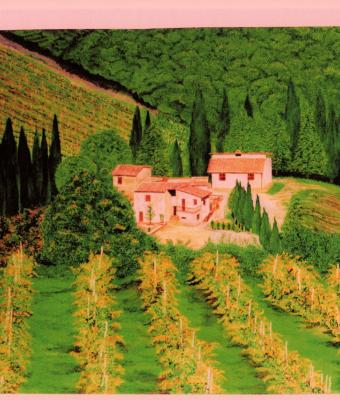 toscana-casolari-con-vigneto