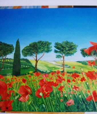 toscana-campo-di-papaveri