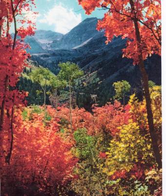 autunno-in-piemonte