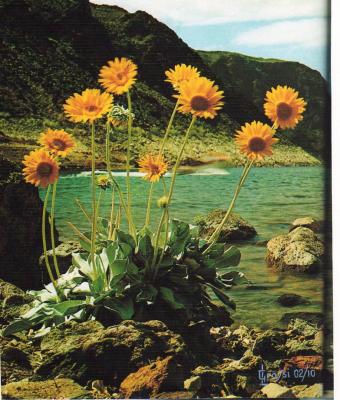 uno-scorcio-di-calvi-corsica