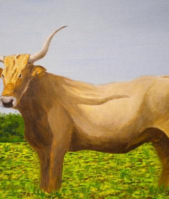 blond-bull