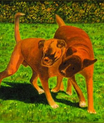 lillo-e-dada-i-boxerini
