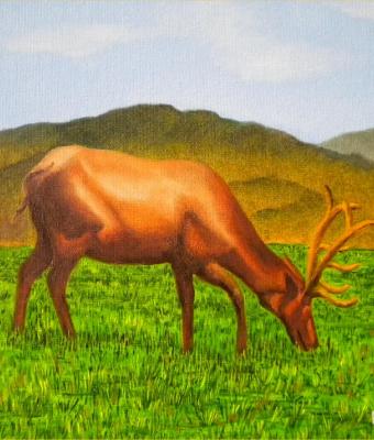 il-cervo-solitario
