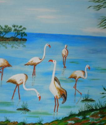 fenicotteri-a-colostrai