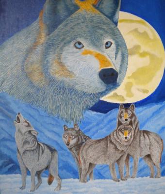 i-lupi-e-la-luna
