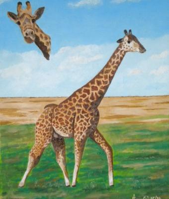 la-giraffa