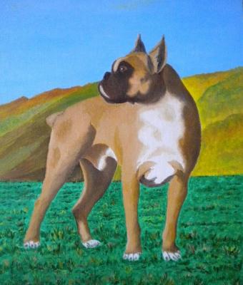 sherman-il-boxer