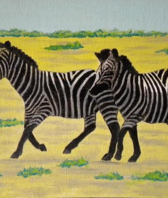 le-zebre