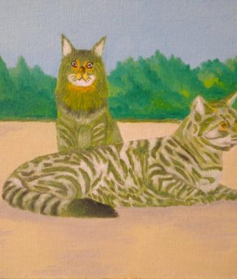 lg-0329-gatti-maine-coon