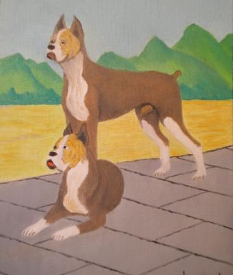 lg-0335-il-cane-boxer