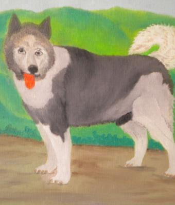 lg-0336-il-cane-alaskan-husk