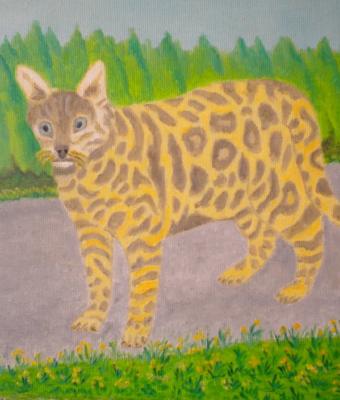gatto-del-bengala