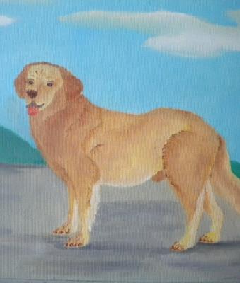 il-cane-golden-retriever