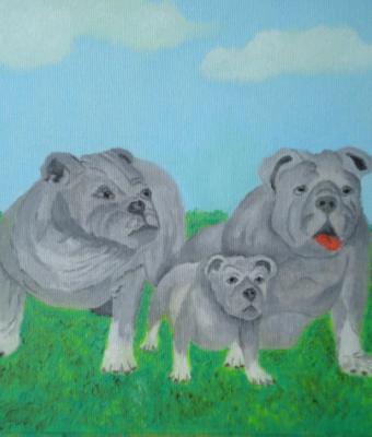 il-bulldog-inglese