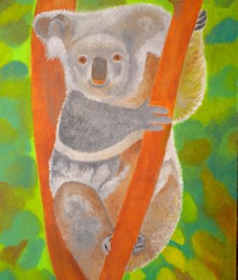 il-koala