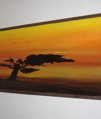 il-baobab