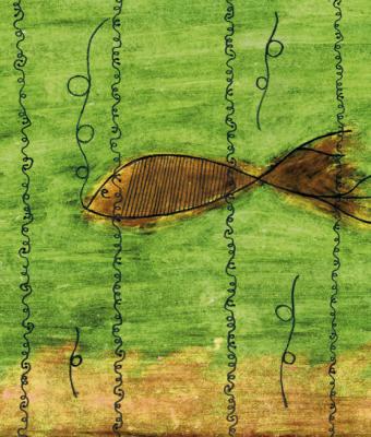 pesce-rosso-in-acquariovista