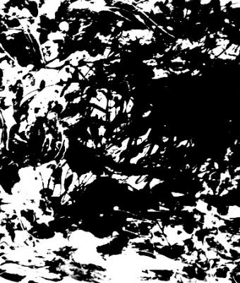 immagini