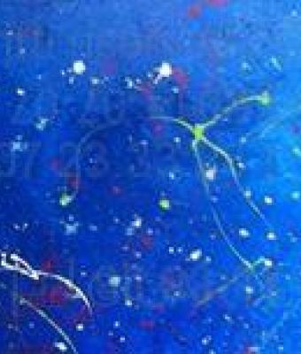 armonia
