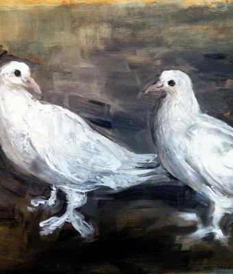 due-colombe-bianche