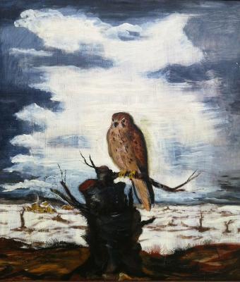 falco-su-tronco-d-albero