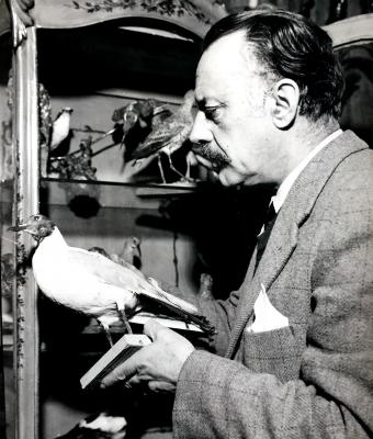 luigi-zuccheri-1904-1974