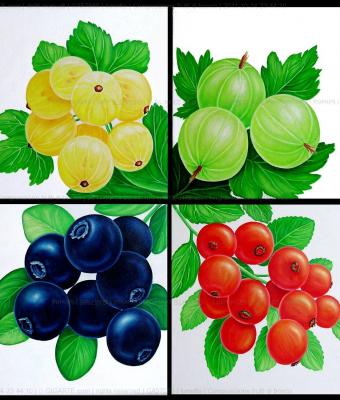 composizione-frutti-di-bosco