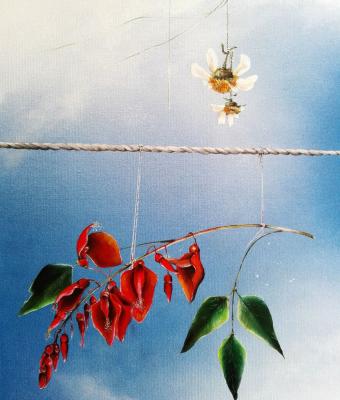 serenit-in-equilibrio